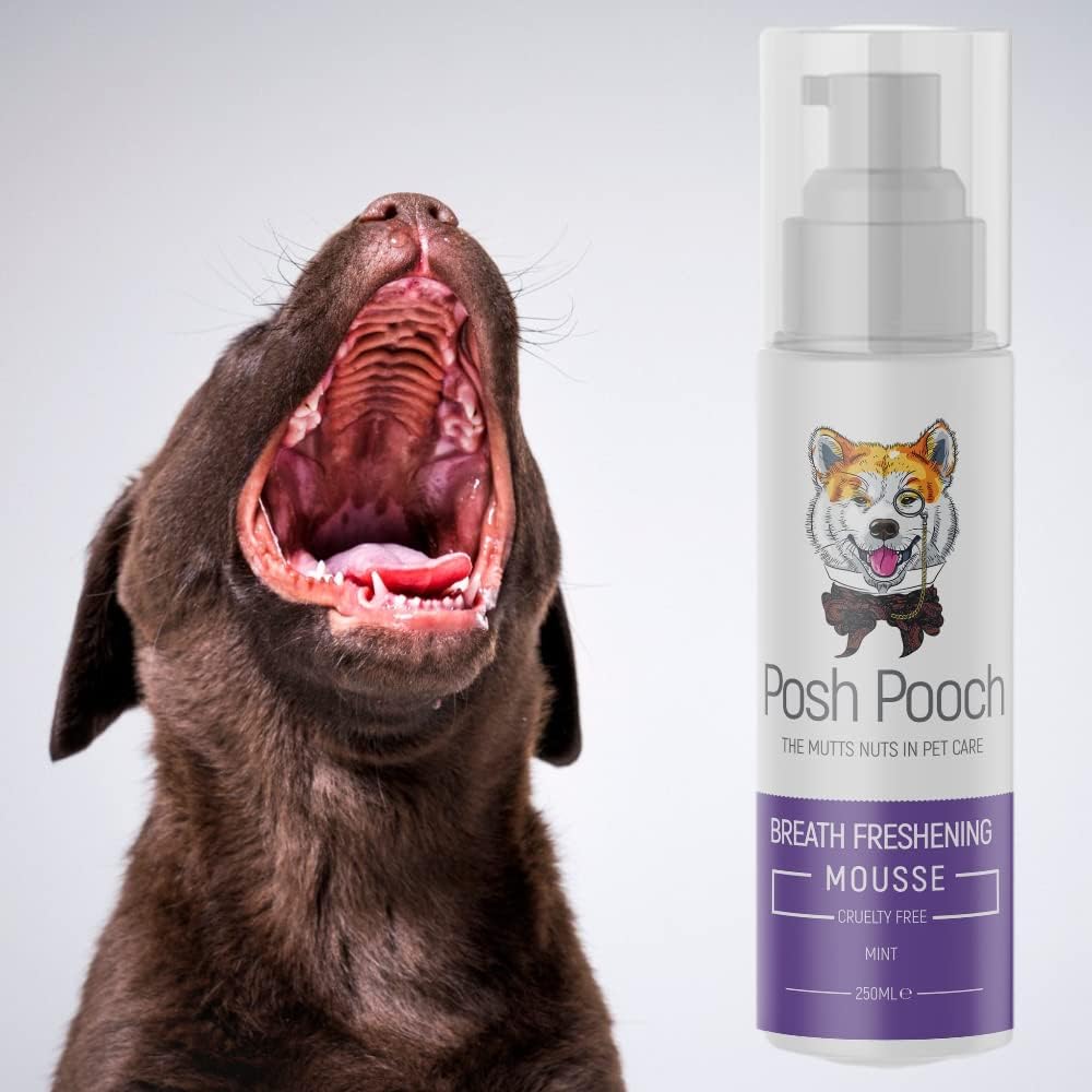 Breath Freshener For Dogs Dental Mousse - Eliminates Bad Breathe & Tartar