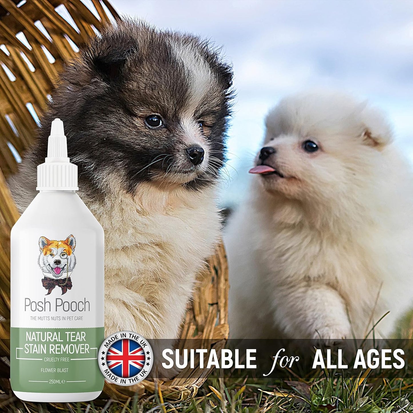 Tear Stain Remover for Dogs - Removes Salvia Stains & Residue