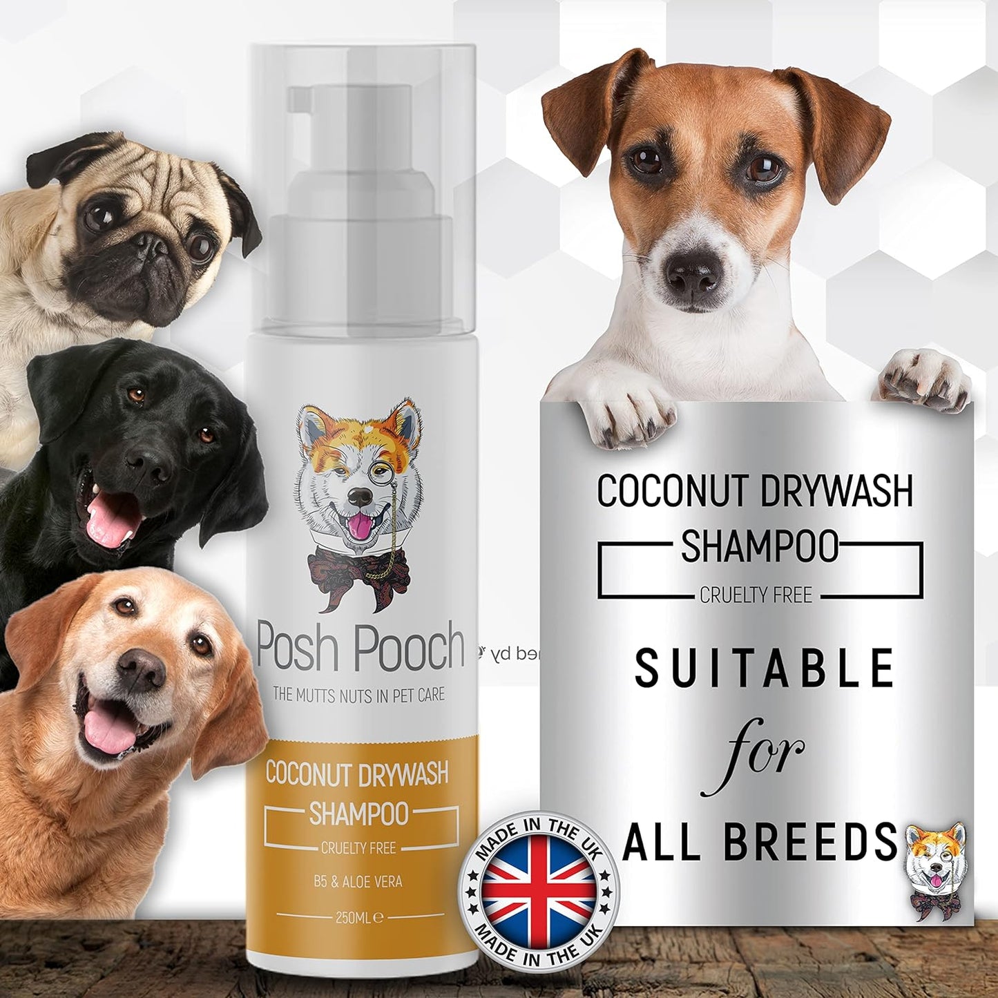 Drywash Coconut Fragrance Waterless Shampoo