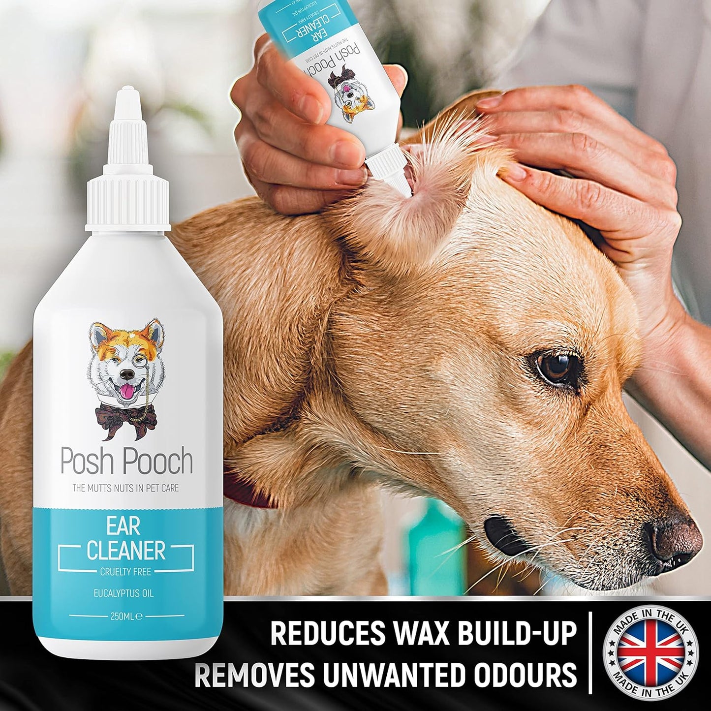 Ear Cleaner For Dogs Eliminates Head Shaking, Discharge & Smell