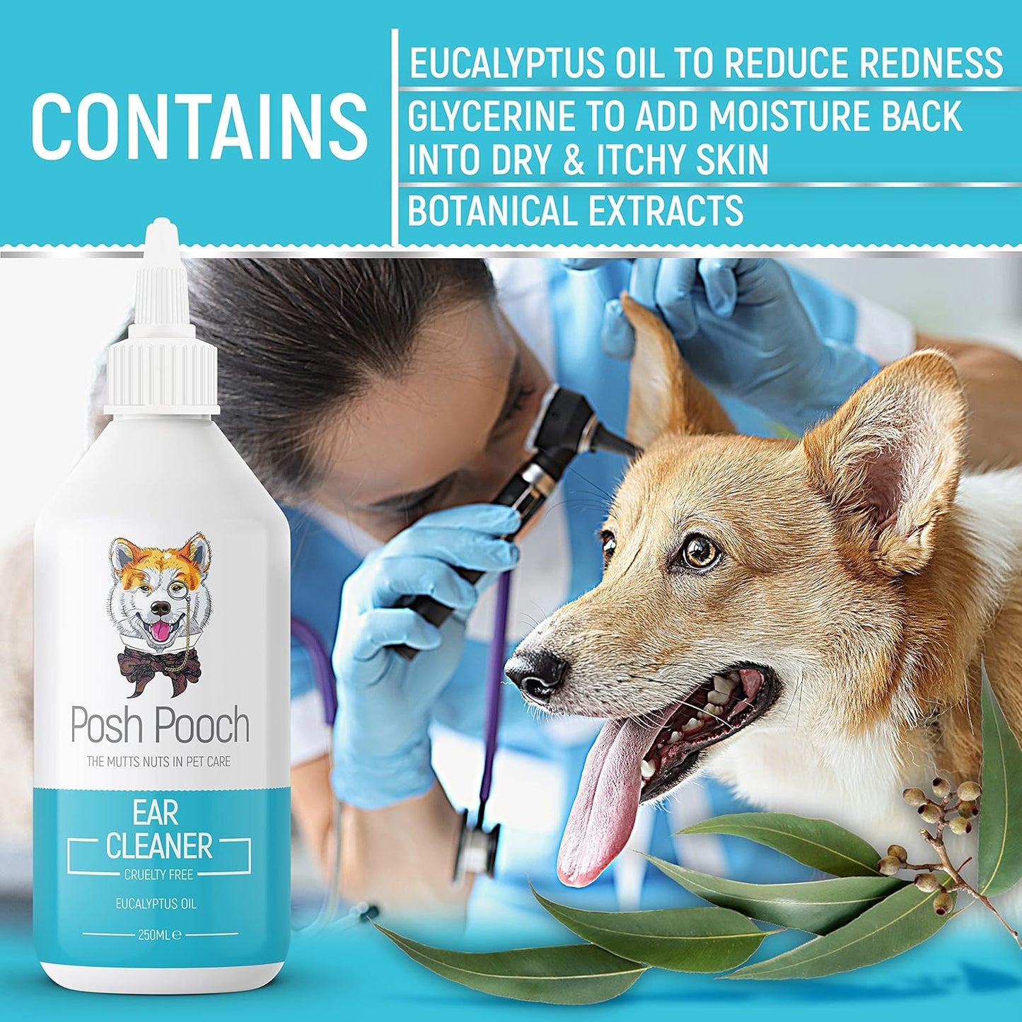 Ear Cleaner For Dogs Eliminates Head Shaking, Discharge & Smell