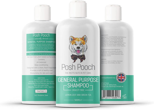 Shampoo & Conditioner Lemon Zest & Green Tea